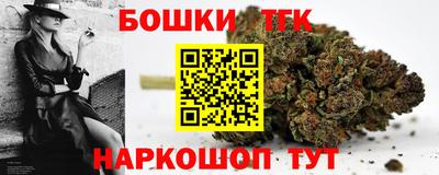 индика Анжеро-Судженск